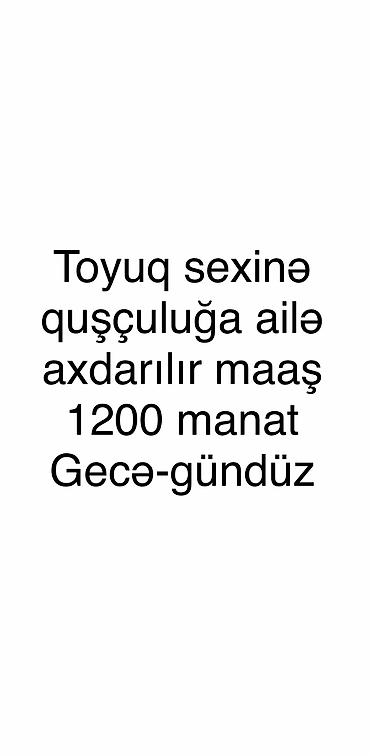 животные в добрые руки баку: Sumqayıtda portağal markete yaxın ünvandadı maaş 1200 manatdır — 1