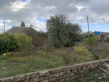 Bağ evlərinin satışı: Bakı, Albalı, 110 kv. m, 3 otaqlı, Hovuzsuz, Kanalizasiya, Qaz, Su -da lalafo.az — 12 Bağ evlərinin satışı: Bakı, Albalı, 110 kv. m, 3 otaqlı, Hovuzsuz, Kanalizasiya, Qaz, Su — 12