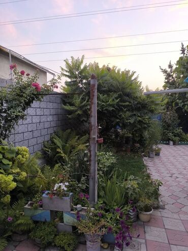 Продажа домов: Дом, 67 м², 4 комнаты, Собственник, Косметический ремонт — 7