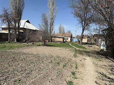 Продажа коттеджей и домов: Продается дом. г.Кара-Балта(в с.Вознесеновка). Дом состоит из — 14