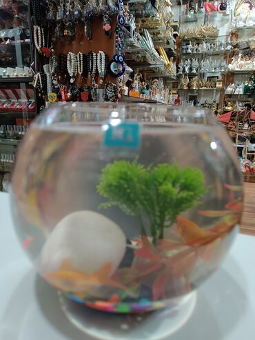 Yemlər: Quş yemləri 1-azn Qırmızı darı topdan 1azn Pərakəndə 1,50azn 1-kq — 23