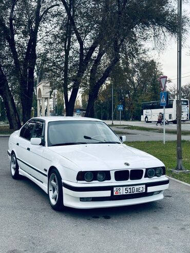 арт стекло: BMW 5 series: 1995 г., 2.5 л, Механика, Бензин, Седан