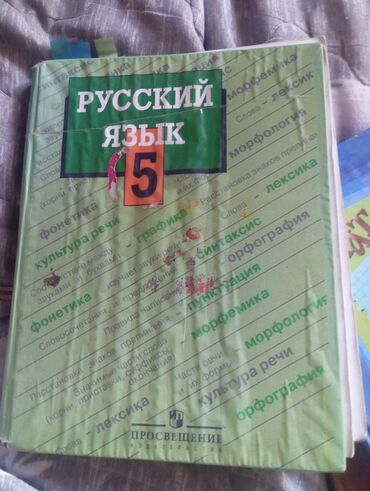 python книга: Учебник русского языка для 5 класса, разработанный авторами Т.А