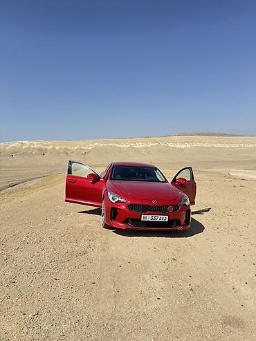 киа к5 хищник: Kia Stinger: 2019 г., 2 л, Автомат, Бензин, Лифтбек — 6