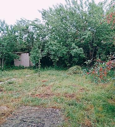 Продажа домов: Дача, 25 м², 3 комнаты, Собственник — 5