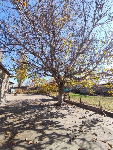 Продажа домов: Дом, 80 м², 6 комнат, Собственник, Старый ремонт — 6