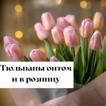 Цветы и букеты: Прайс📉 До 50 шт - 140 сом От 50 до 100 - 130 сом От 100 до 250 - 120