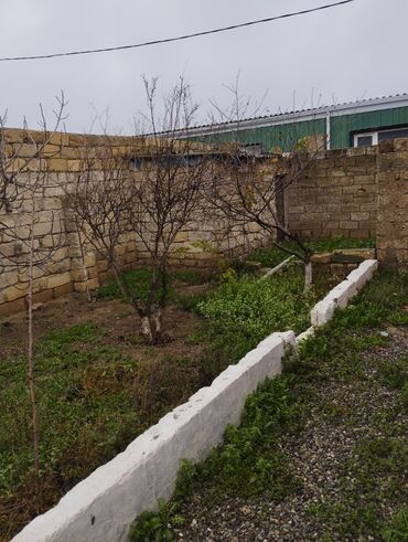 Torpaq sahələrinin satışı: 3 sot, Tikinti, Mülkiyyətçi, Müqavilə -da lalafo.az — 3 Torpaq sahələrinin satışı: 3 sot, Tikinti, Mülkiyyətçi, Müqavilə — 3