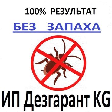 палитех квартира: Дезинфекция, дезинсекция | Клопы, Блохи, Тараканы | Транспорт, Офисы, Квартиры