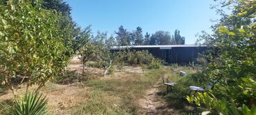 Həyət evləri və villaların satışı: Buzovna 3 otaqlı, 100 kv. m, Kredit yoxdur, Orta təmir — 7