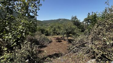 Torpaq sahələrinin satışı: 10 sot, Tikinti, Kupça (Çıxarış) — 5