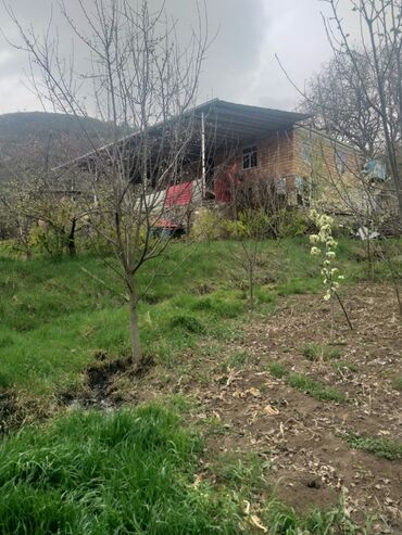 Bağ evlərinin satışı: Çaykənd, 160 kv. m, 5 otaqlı, İnternet, Telefon, Qaz -da lalafo.az — 6 Bağ evlərinin satışı: Çaykənd, 160 kv. m, 5 otaqlı, İnternet, Telefon, Qaz — 6