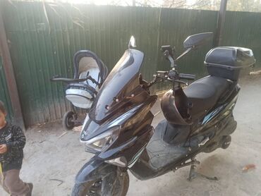 мини скутер цена: Макси-скутер Alpha, 140 куб. см, Бензин, Б/у