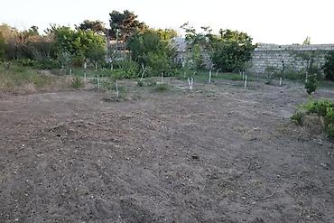 Torpaq sahələrinin satışı: 10 sot, Tikinti, Barter mümkündür, Kupça (Çıxarış) — 3