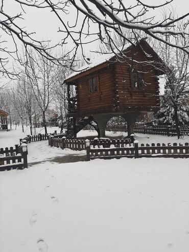 Sərnişin daşımaları: Minivan, 8 Oturacaq — 14