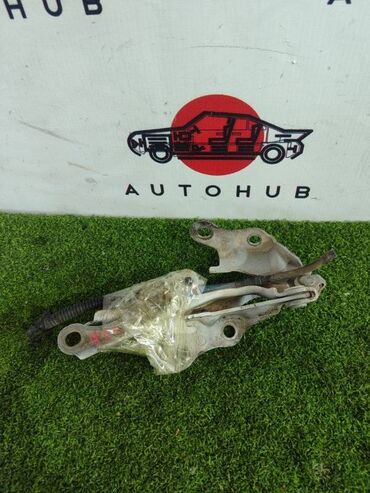 runx alex: Петля капота TOYOTA Altezza SXE10 2 2003 (б/у)