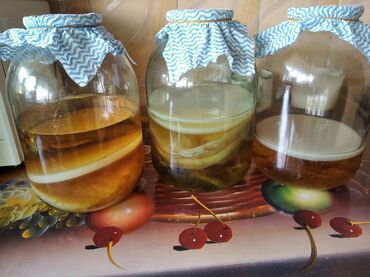 эгипетский чай: Камбуча-чайный гриб-булут