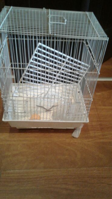 Su və yem qabları: Shekilleri cevirin Xamyaklar ucun her bir aksesuarlar satilir — 24