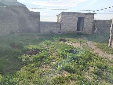 qala xasaxuna: 4 sot, Tikinti, Mülkiyyətçi, Bələdiyyə — 6