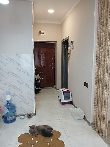 azadliq ev: 1 otaqlı, Yeni tikili, m. Nəriman Nərimanov, 42 kv. m — 8