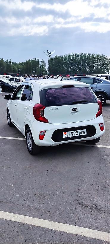 аренда kia optima: Kia Morning: 2019 г., 1 л, Автомат, Бензин, Хэтчбэк — 4