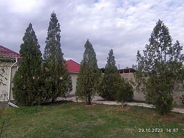 Продажа коттеджей и домов: Частный дом в ж/м Ак Ордо - Площадь участка: 5 соток - Площадь дома — 14