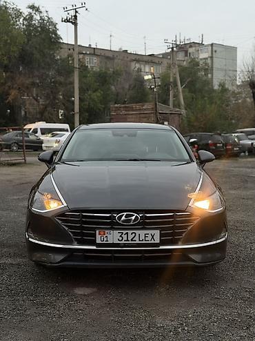 Hyundai Sonata: 2019 г., 2 л, Автомат, Газ, Седан