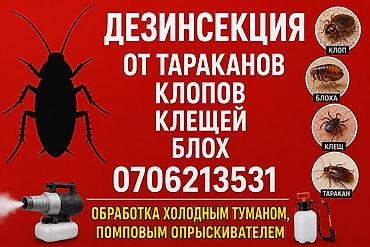 Клининговые услуги: Дезинсекция помещений от тараканов, клопов, клещей и блох. Методы — 1