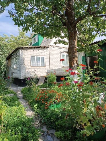 продается дом новоповловка заря: Дача, 35 м², 4 комнаты, Собственник