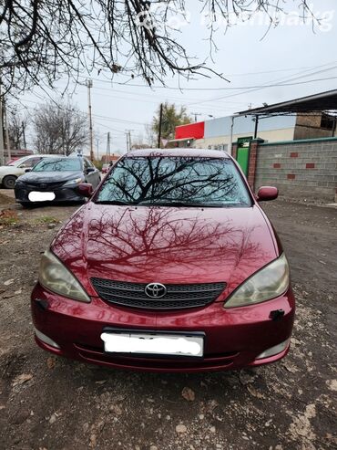 купить тойота камри бу в литве: Toyota Camry: 2004 г., 2.4 л, Автомат, Бензин, Седан