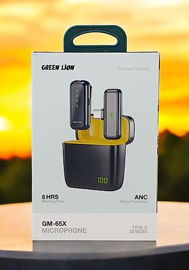 ejik group nədir: Kateqoriya: Mikrofonlar Brend: Green Lion Model: Lion GM-65X Mic — 1