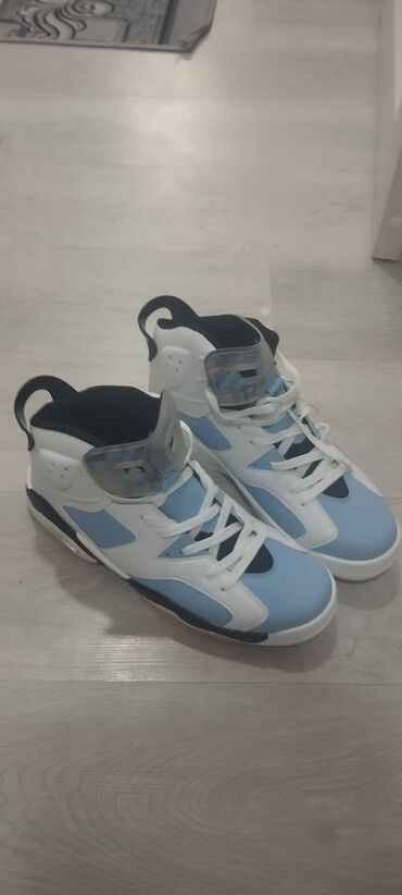 air jordan 6: Продаю кроссовки Джордан 6 Jordan абсолютно новые не ношенные