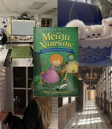 Детские книги: 🕵️‍♀️ Мечта юного детектива: Полная коллекция приключений Мейзи — 10