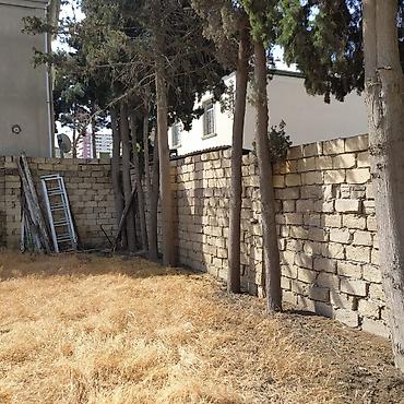 Həyət evləri və villaların satışı: Hasarlı həyət sahəsi – abadlaşdırma üçün əlverişli - Daş hasarla tam — 2