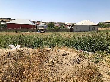 ev algi satgisi sumgayitda: 10 sot, Tikinti, Mülkiyyətçi, Kupça (Çıxarış), Texniki pasport — 6