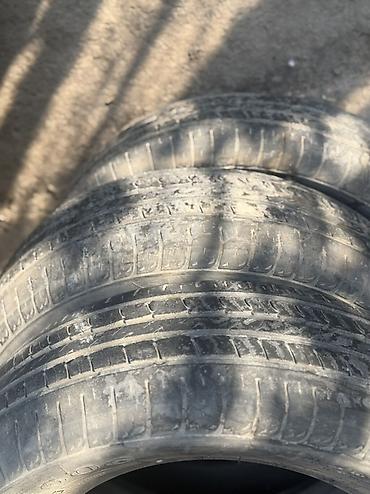 r15 ромашка: Автомобильные шины R15, размер 195/65 R15. Подходят для легковых — 5