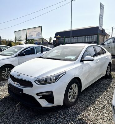 очки для вождения: Kia K3: 2020 г., 1.6 л, Автомат, Бензин, Седан
