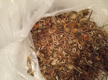 bamya toxumu nədir: Toxum qarışığı – çiçək və yabanı ot toxumları Təsvir: - Şəkillərdə