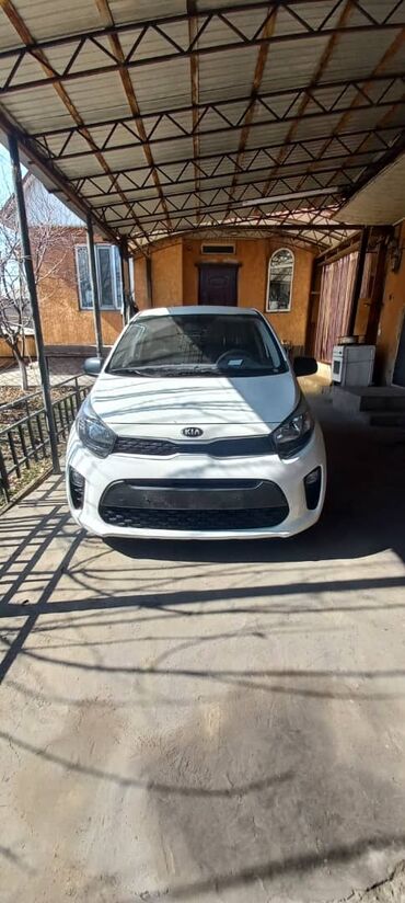 Kia: Kia Morning: 2019 г., 1 л, Автомат, Бензин, Хэтчбэк