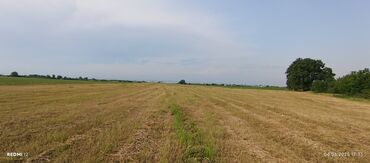 Torpaq sahələrinin satışı: Kənd təsərrüfatı — 4