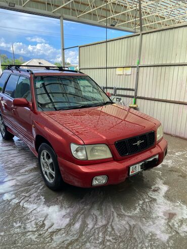машина субару аутбек: Subaru Forester: 2000 г., 2 л, Автомат, Газ, Кроссовер