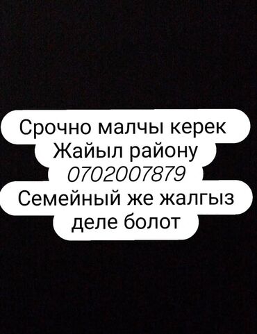 закройщик на дому: Вакансия: требуется пастух (Жайылский район). Описание: - Нужен