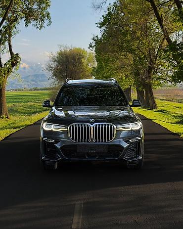 BMW: BMW X7: 2019 г., 3 л, Автомат, Бензин, Внедорожник — 2