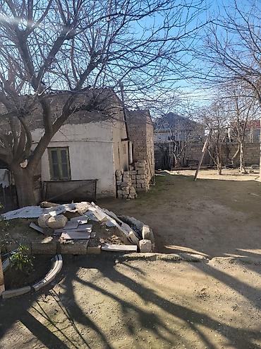 esey satisi: Satış üçün həyət evi və torpaq sahəsi Binə savxozda məçitddən yuxarı — 1