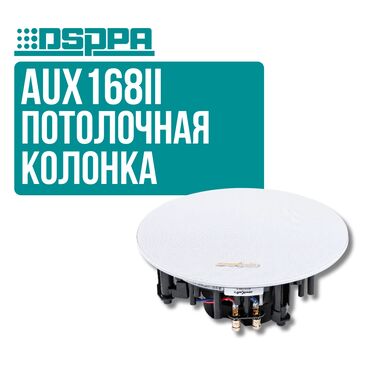 Рации и диктофоны: Потолочный громкоговоритель DSPPA AUX168II Эта стереосистема