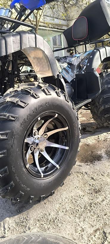 Квадроциклы: Квадроцикл ATV (двухместный), внедорожный. Основные характеристики и — 9