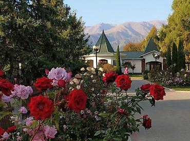 Продажа квартир: 2 комнаты, 45 м², 6 этаж — 14