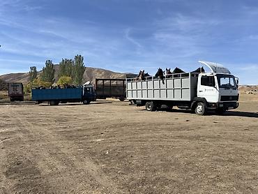 атэго: Принимаем заказы грузоперевозок есть 3 машыны 5тоник и 10тоник зв — 2