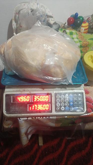 кролики мясо: Домашняя птица, режим на заказ, по предварительному заказу, халал — 7