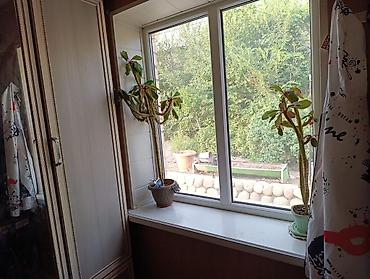 Продажа коттеджей и домов: ✅ Продается дом в Балыкчи (Иссык-Куль) ✅ 3 комнаты, участок 16 соток — 17